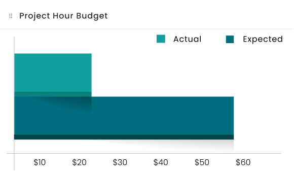 project hour budget image